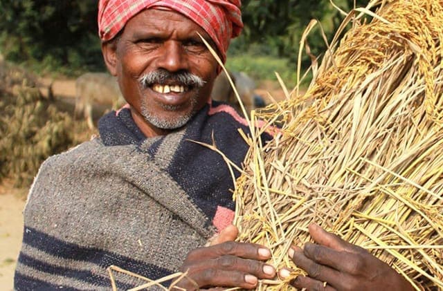 Volunteers and dancers during CHAMP weekend